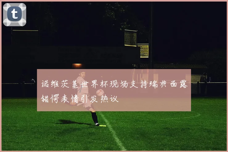 诺维茨基世界杯现场支持瑞典面露错愕表情引发热议